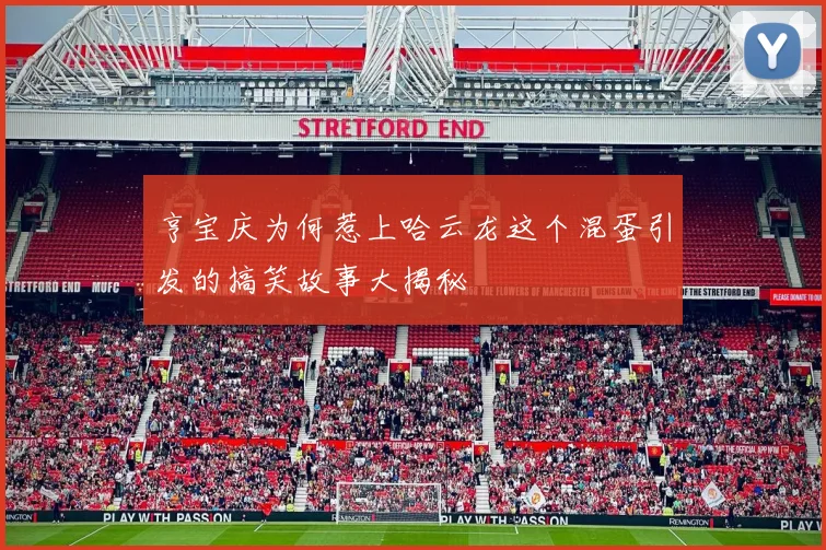 亨宝庆为何惹上哈云龙这个混蛋引发的搞笑故事大揭秘