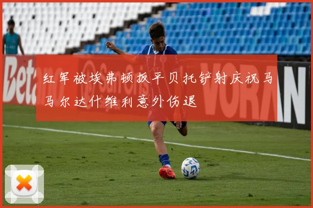 红军被埃弗顿扳平贝托铲射庆祝马马尔达什维利意外伤退