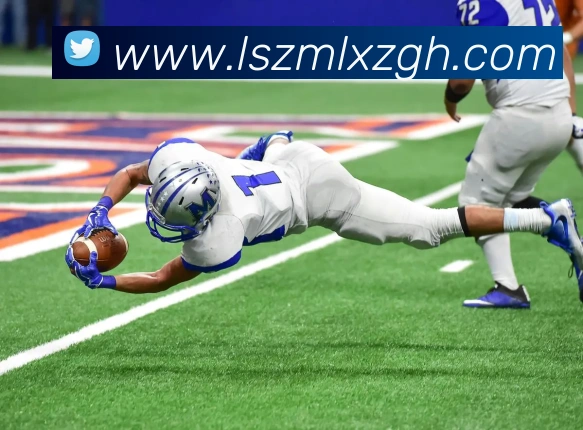 星空官方在线登录品牌故事