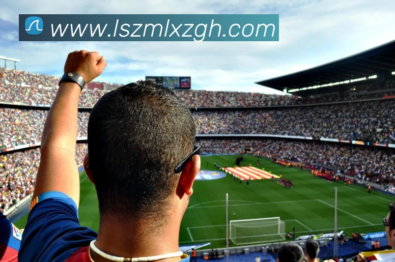 星空官方在线登录APP 体育赛事宣传图